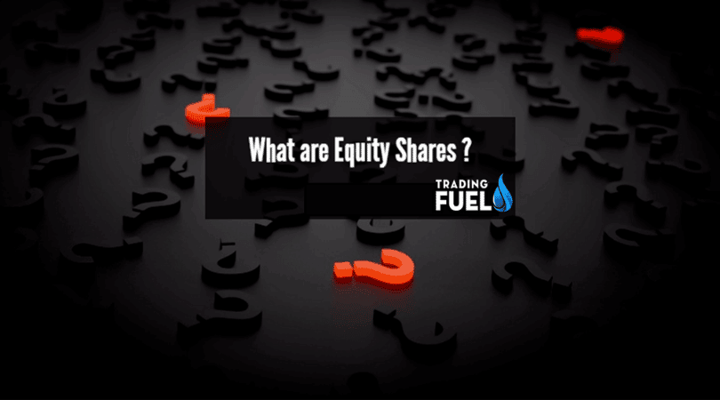 What are Equity Shares?