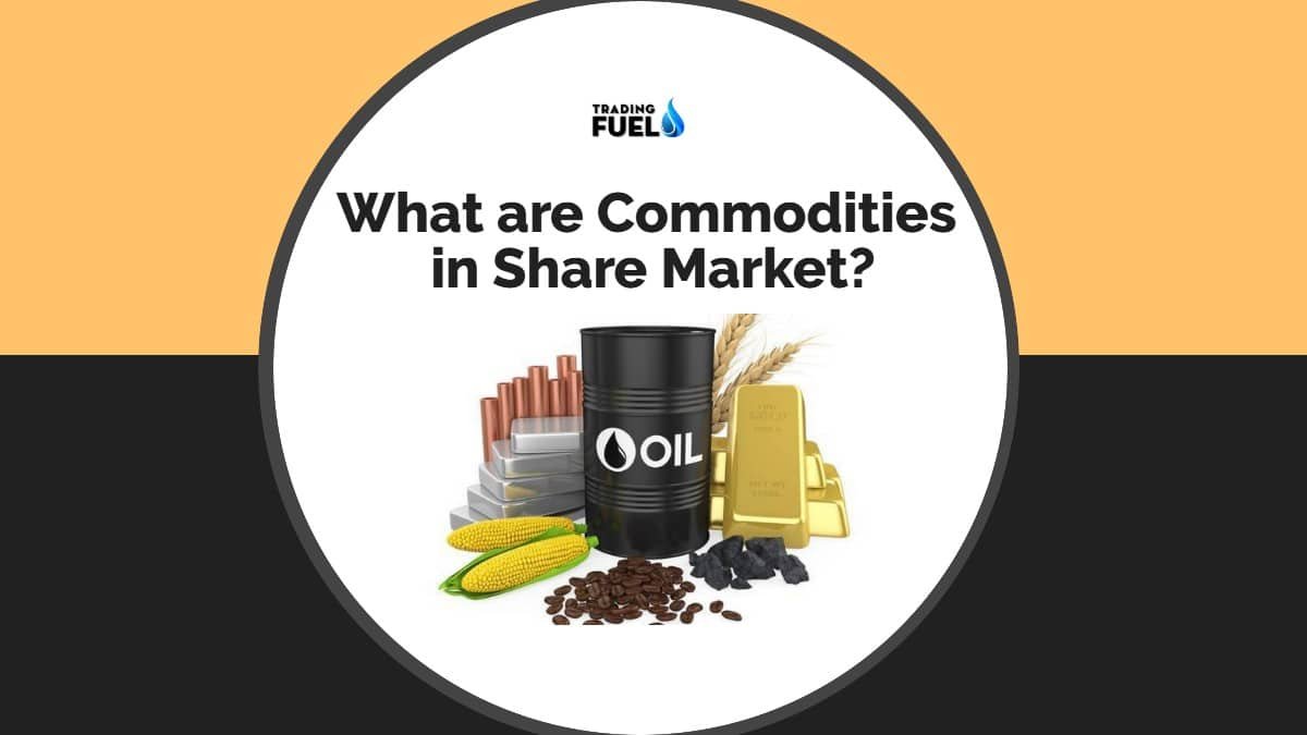 What are Commodities in Share Market?