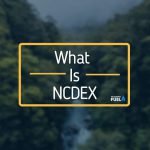 What is NCDEX in India