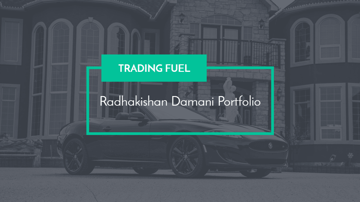 Radhakishan Damani Portfolio