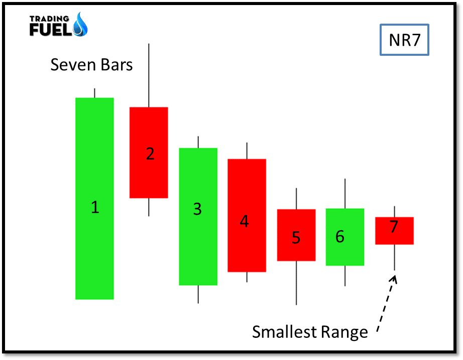 Nr 7