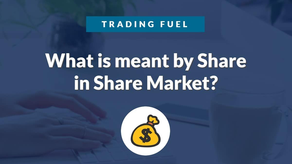 What is meant by Share in Share Market?