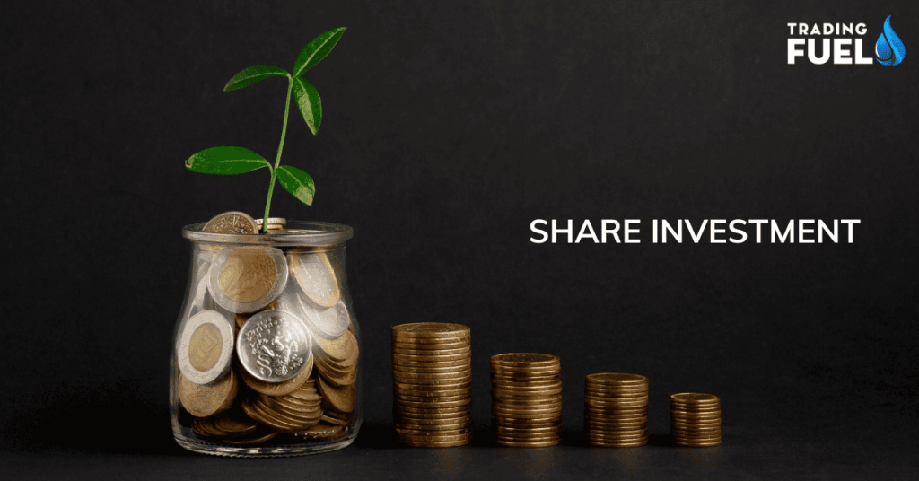 About Share Investment