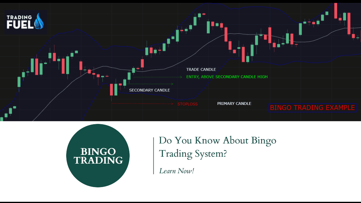 Bingo Trading System