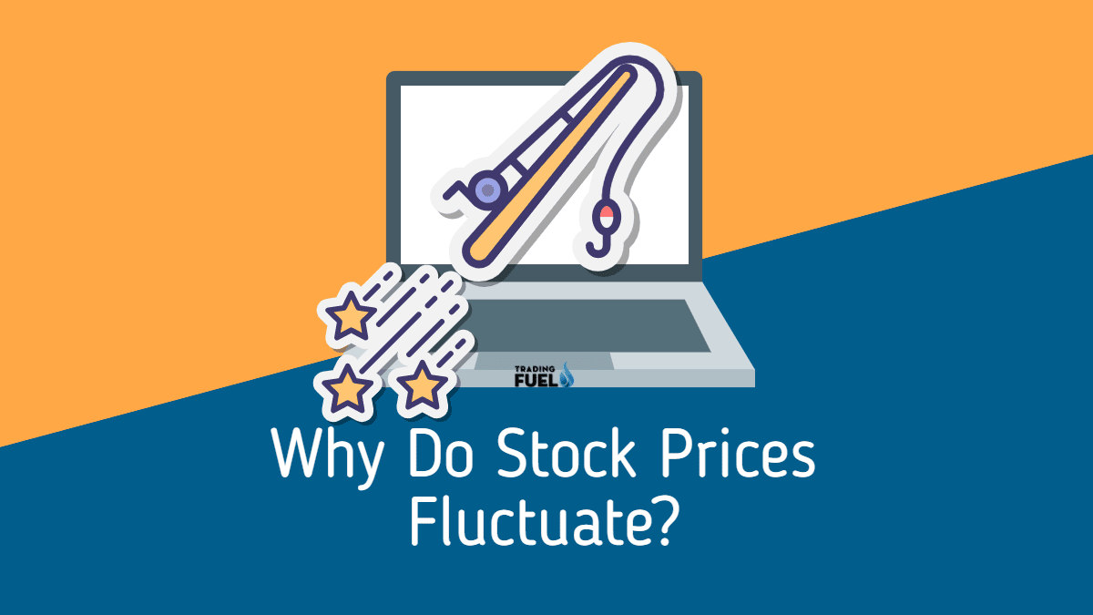 Why Do Stock Prices Fluctuate?