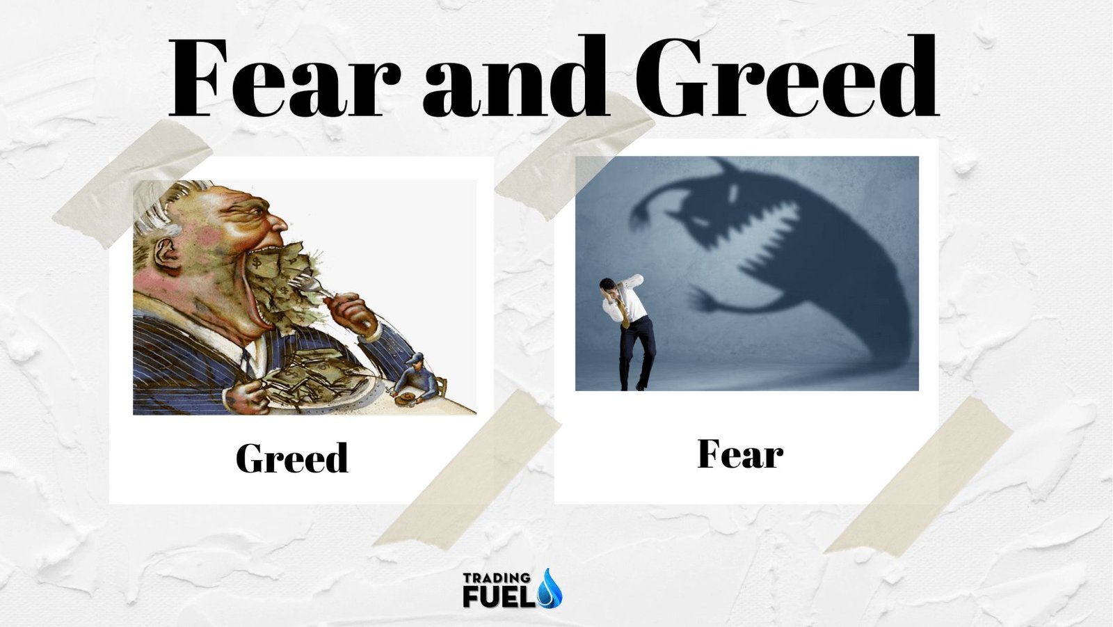 How to Control Fear and Greed in Trading ?